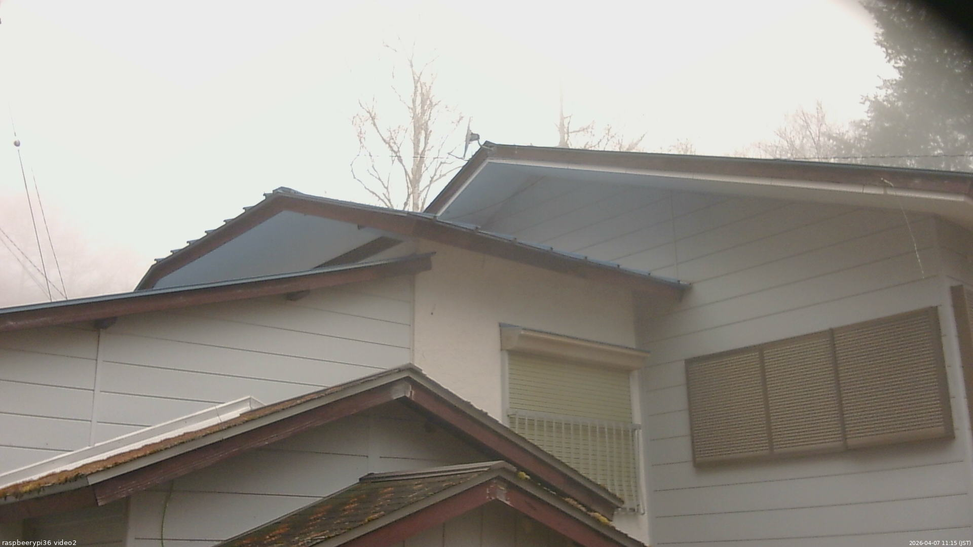 長野県菅平高原 ゆたか山荘 駐車場奥 2026/04/07 11:15