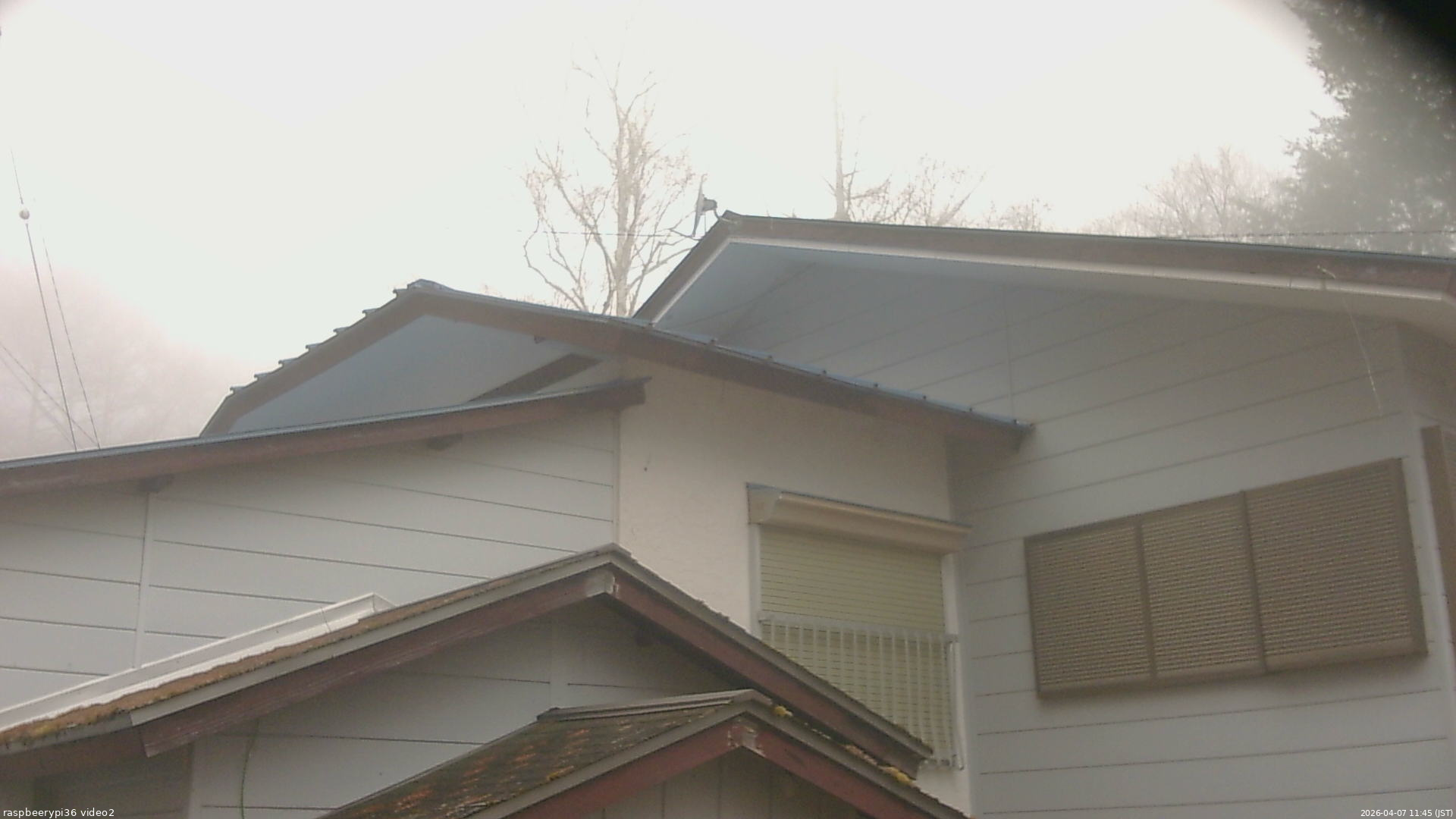 長野県菅平高原 ゆたか山荘 駐車場奥 2026/04/07 11:45