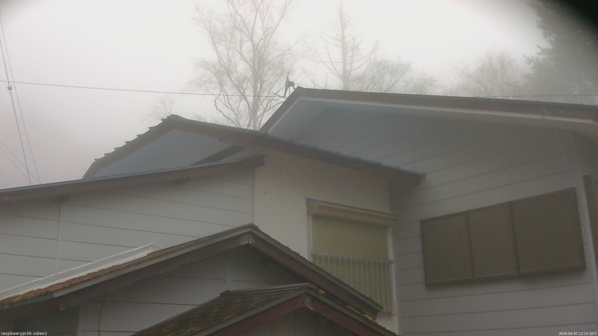 長野県菅平高原 ゆたか山荘 駐車場奥 2026/04/07 12:15