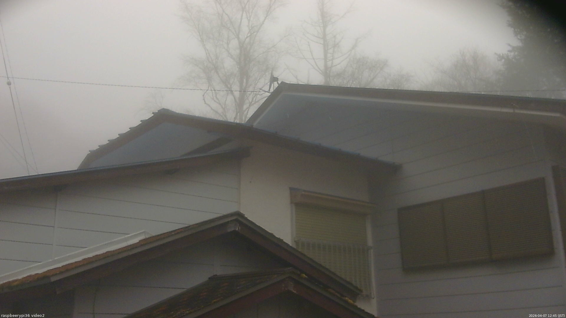 長野県菅平高原 ゆたか山荘 駐車場奥 2026/04/07 12:45