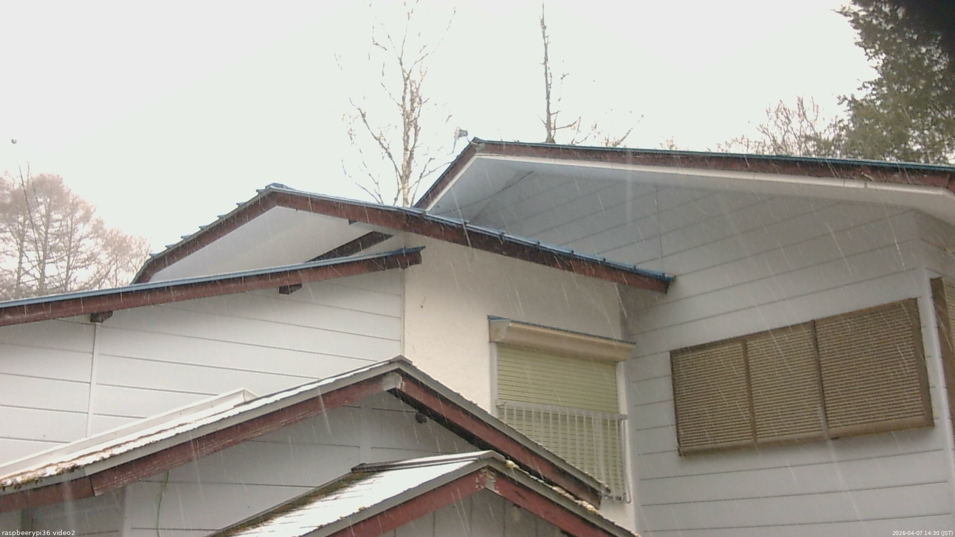 長野県菅平高原 ゆたか山荘 駐車場奥 2026/04/07 14:30