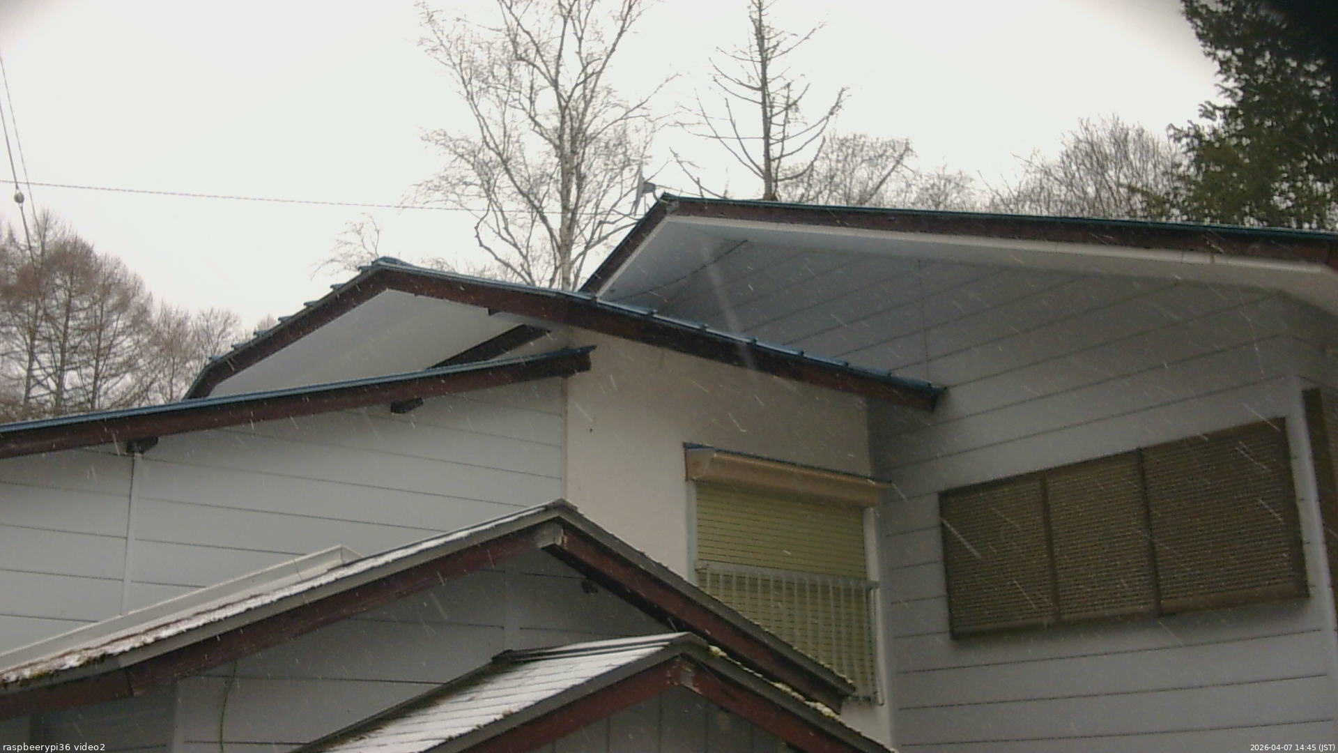 長野県菅平高原 ゆたか山荘 駐車場奥 2026/04/07 14:45