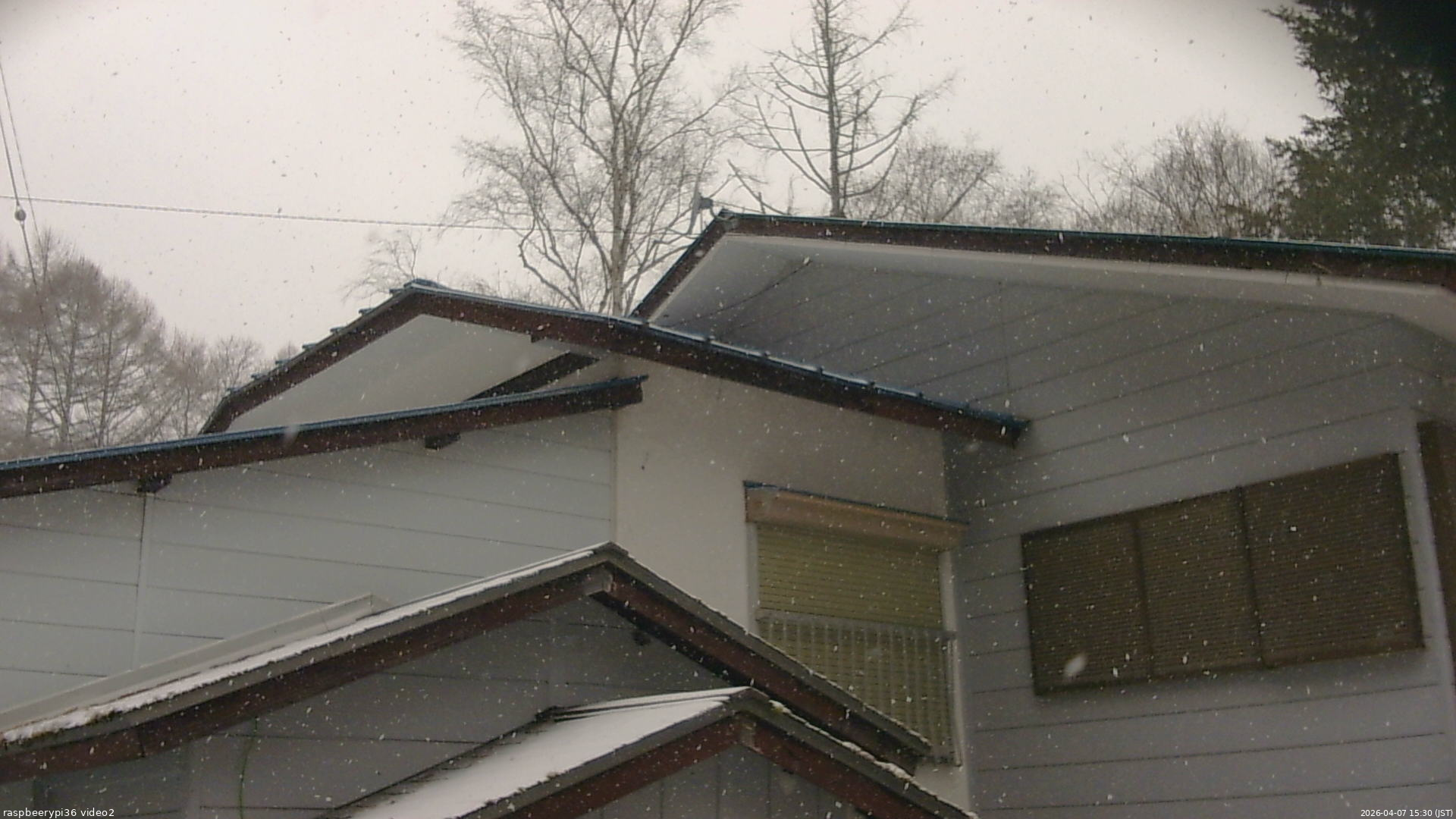 長野県菅平高原 ゆたか山荘 駐車場奥 2026/04/07 15:30