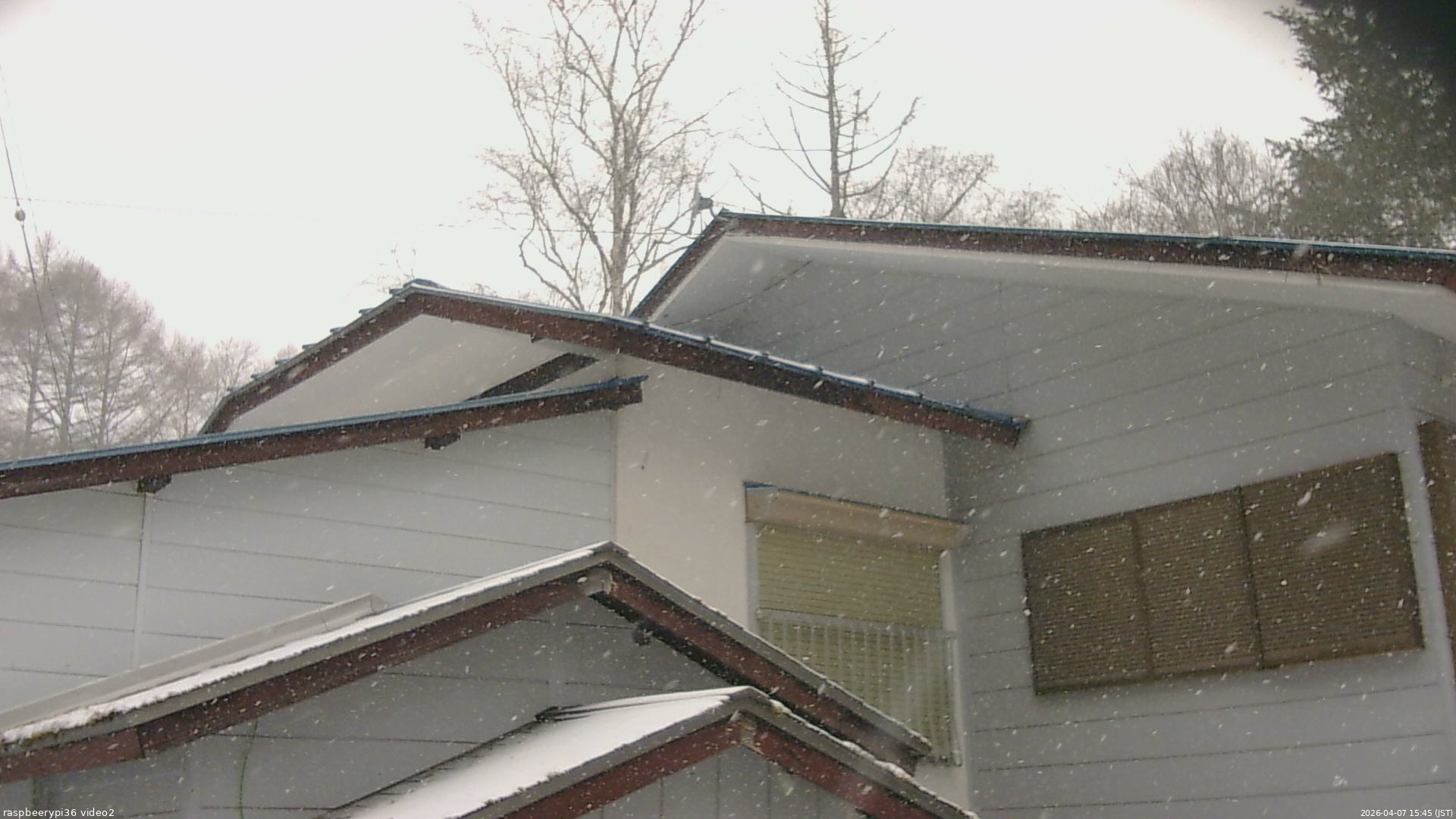 長野県菅平高原 ゆたか山荘 駐車場奥 2026/04/07 15:45