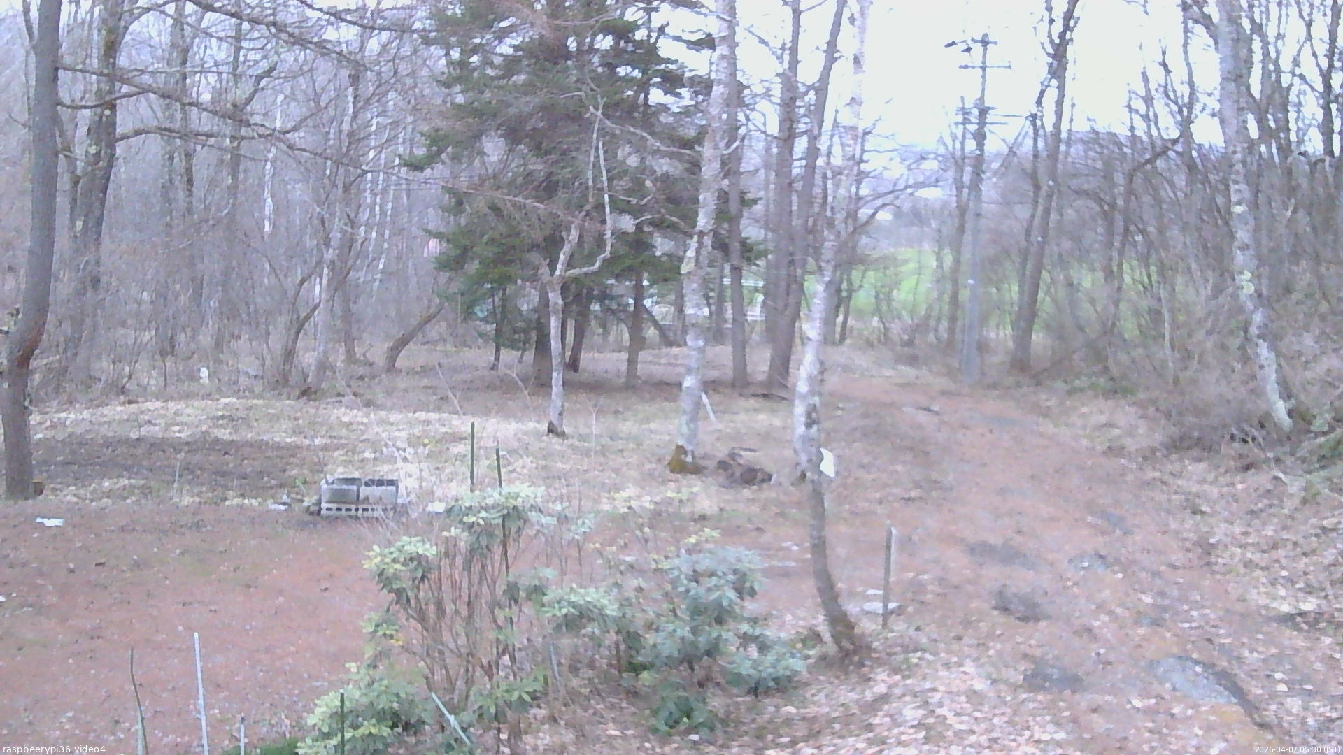長野県菅平高原 ゆたか山荘 坂上 2026/04/07 05:30