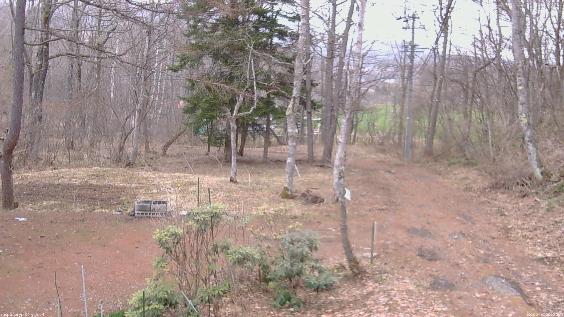 長野県菅平高原 ゆたか山荘 坂上 2026/04/07 06:00