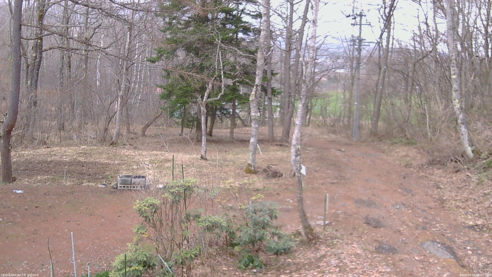 長野県菅平高原 ゆたか山荘 坂上 2026/04/07 06:30