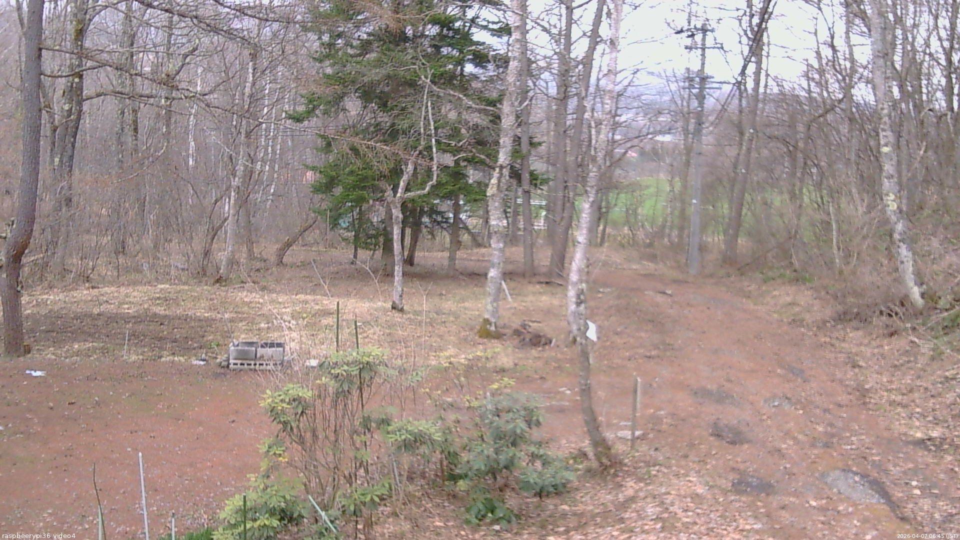 長野県菅平高原 ゆたか山荘 坂上 2026/04/07 06:45