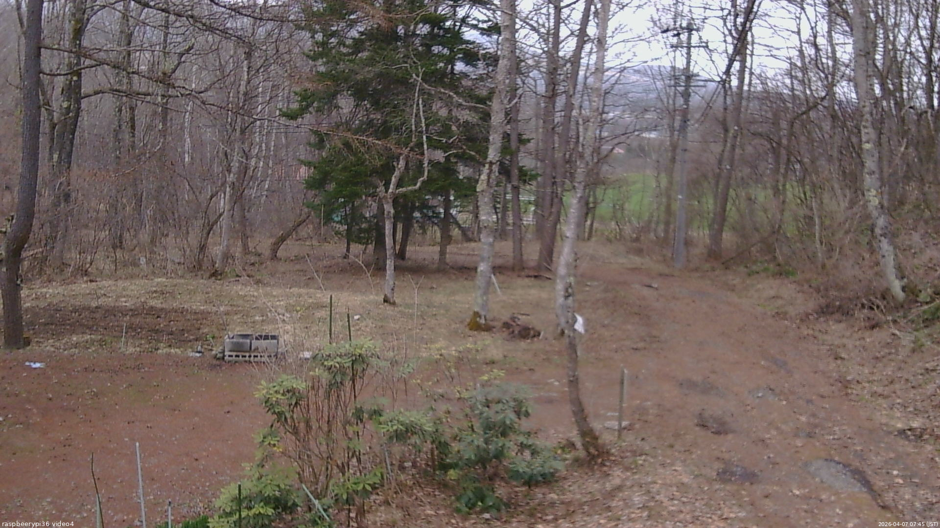 長野県菅平高原 ゆたか山荘 坂上 2026/04/07 07:45
