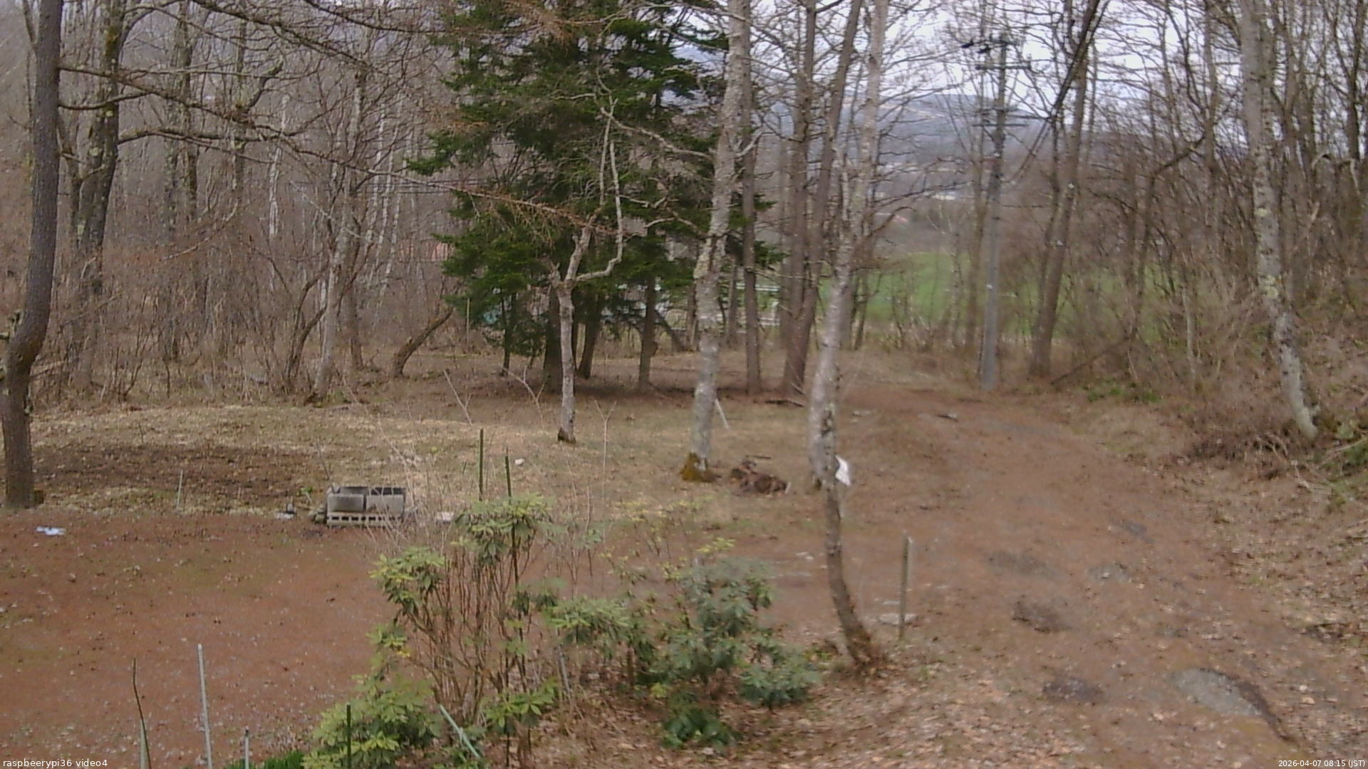長野県菅平高原 ゆたか山荘 坂上 2026/04/07 08:15
