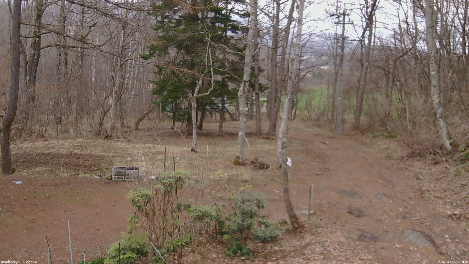 長野県菅平高原 ゆたか山荘 坂上 2026/04/07 08:30