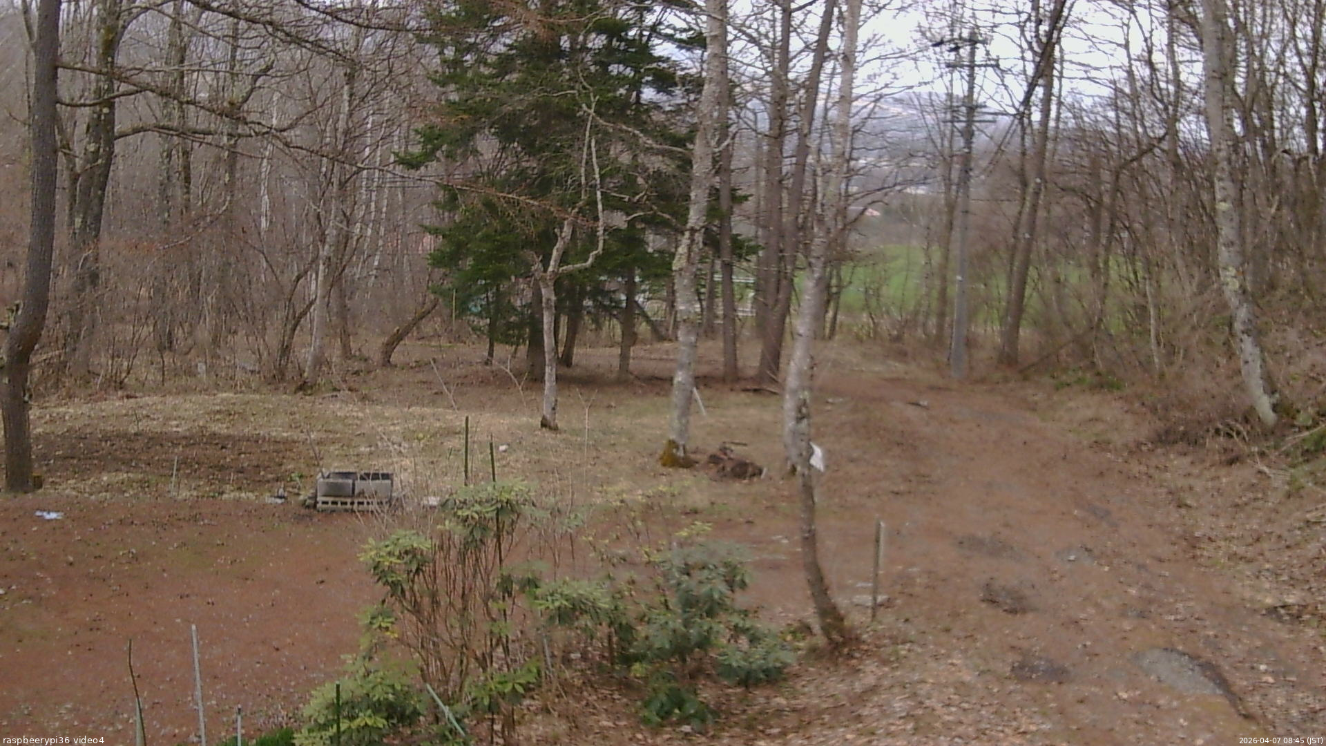 長野県菅平高原 ゆたか山荘 坂上 2026/04/07 08:45