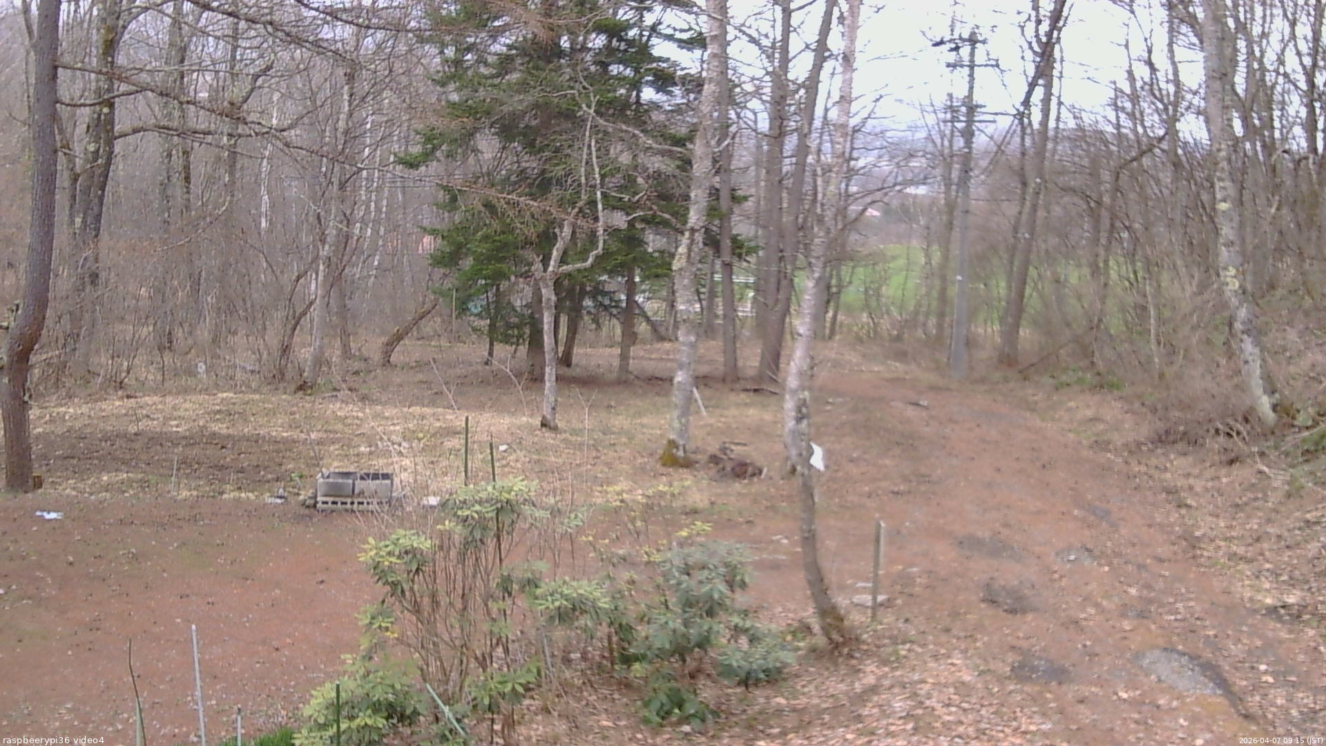 長野県菅平高原 ゆたか山荘 坂上 2026/04/07 09:15