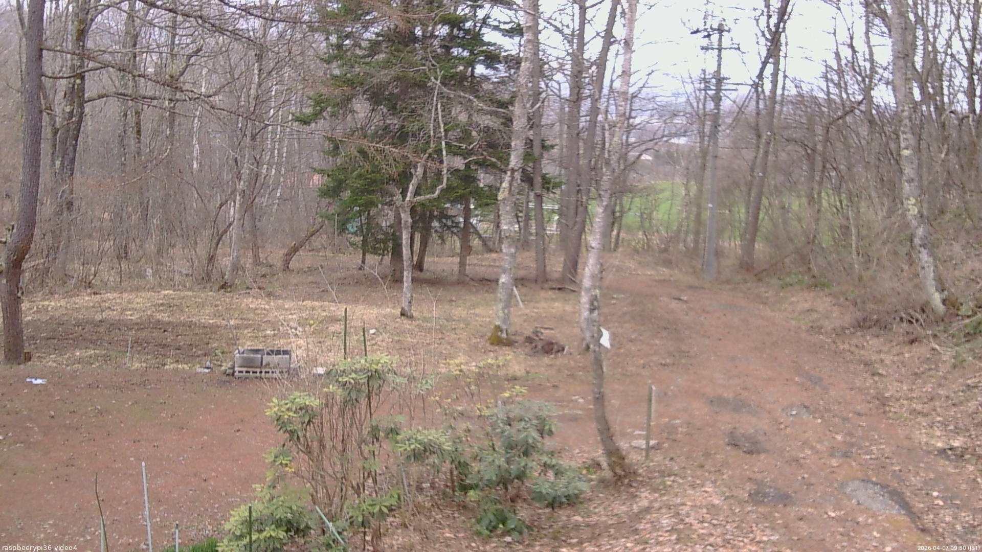 長野県菅平高原 ゆたか山荘 坂上 2026/04/07 09:30