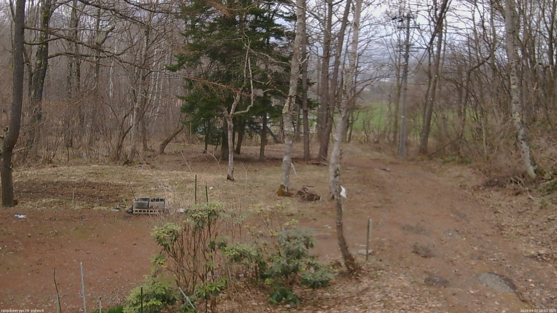 長野県菅平高原 ゆたか山荘 坂上 2026/04/07 10:00