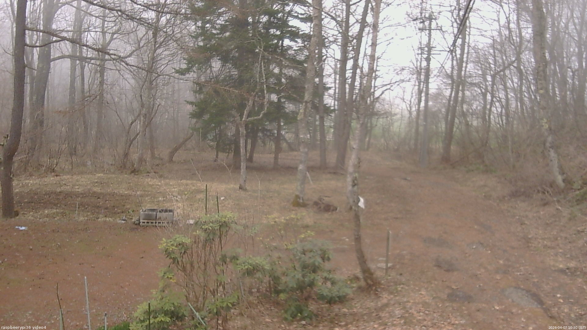 長野県菅平高原 ゆたか山荘 坂上 2026/04/07 10:30
