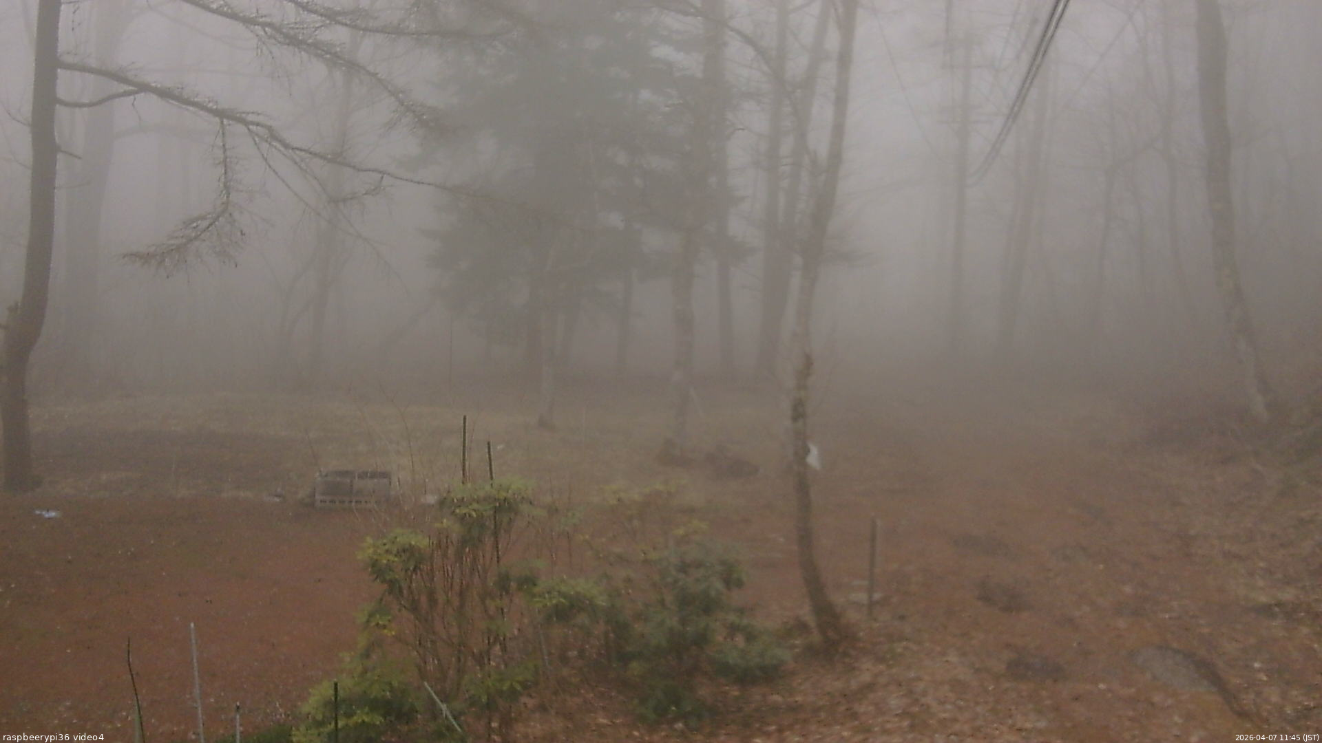 長野県菅平高原 ゆたか山荘 坂上 2026/04/07 11:45