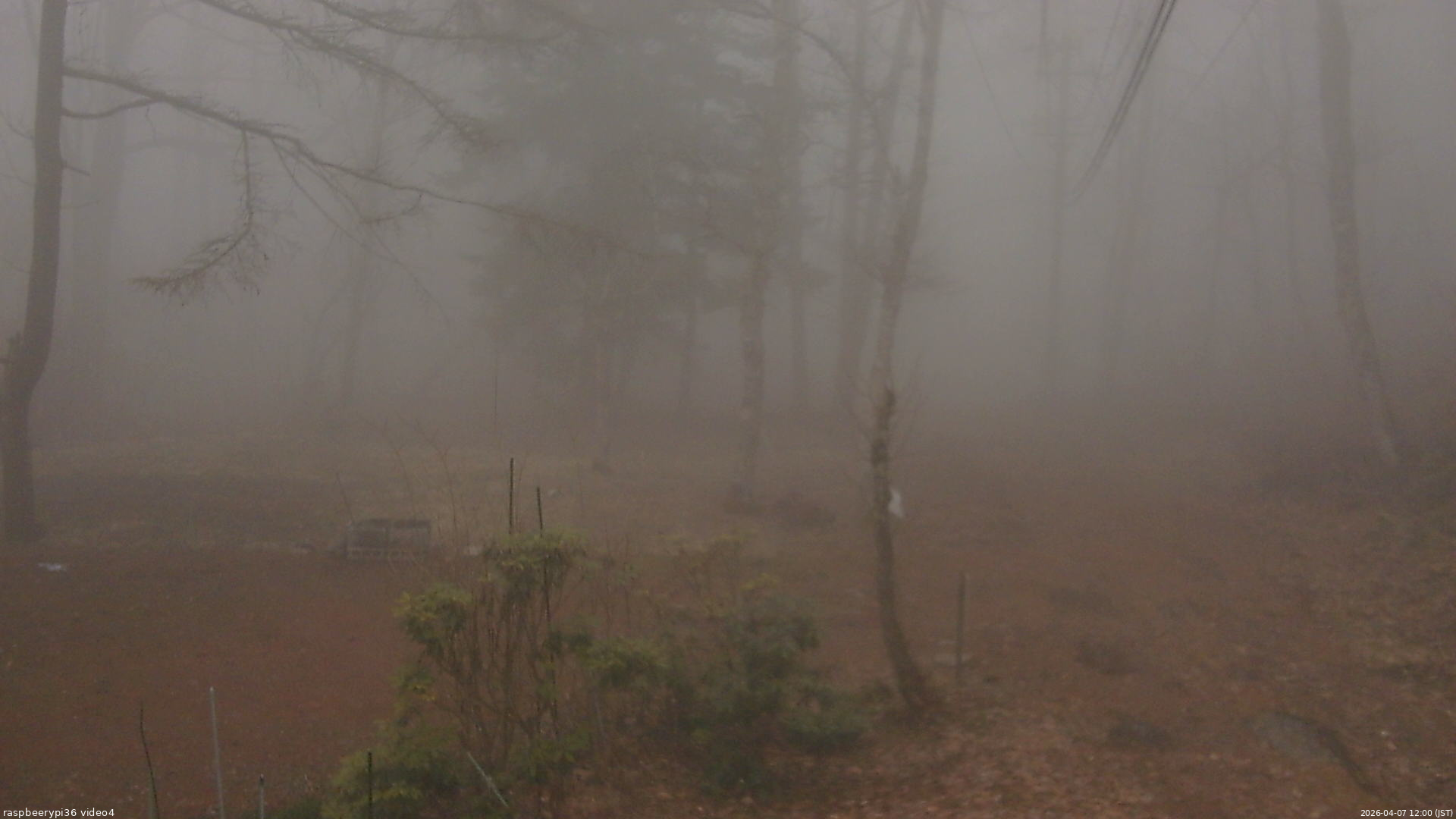 長野県菅平高原 ゆたか山荘 坂上 2026/04/07 12:00