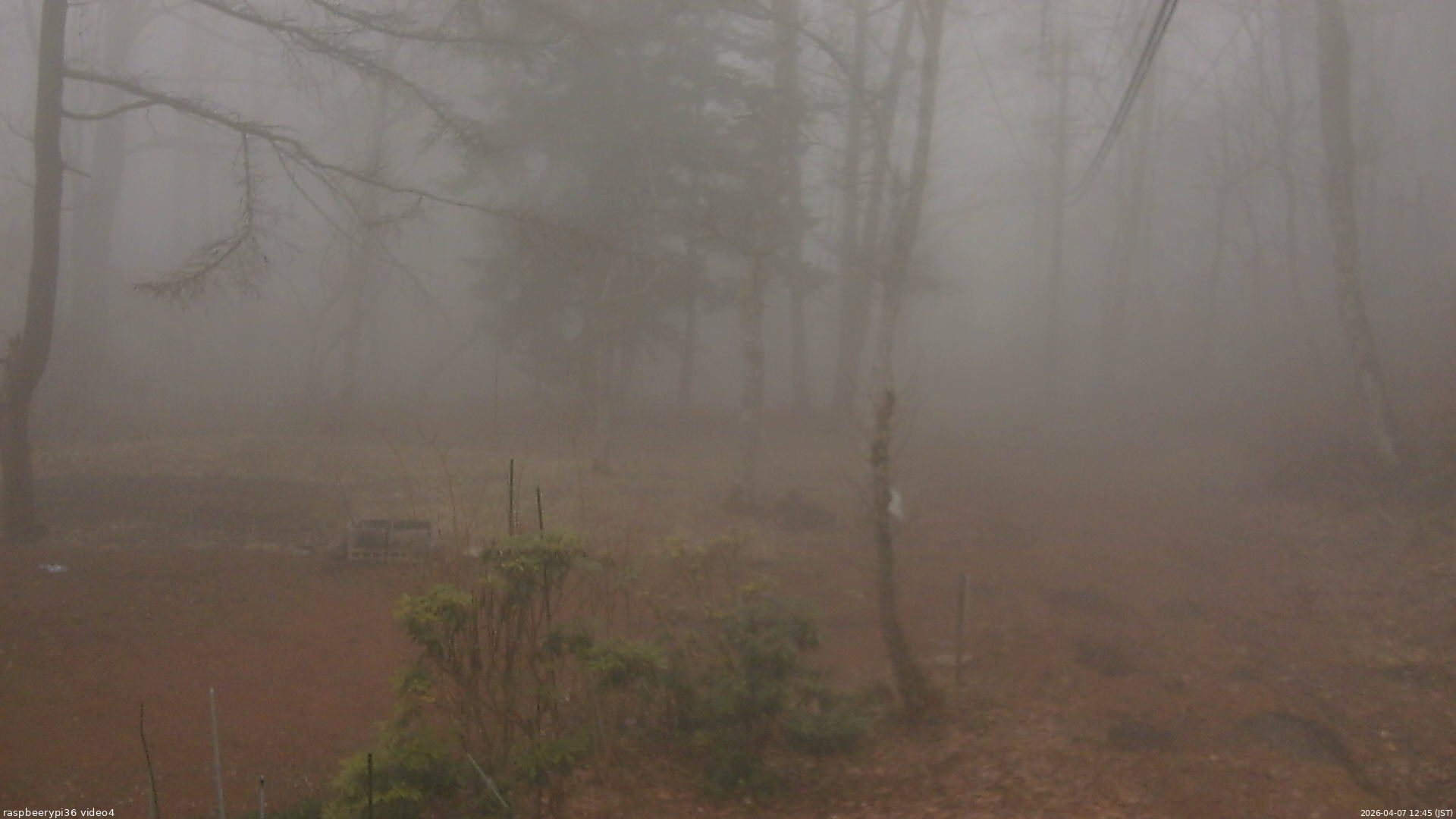 長野県菅平高原 ゆたか山荘 坂上 2026/04/07 12:45