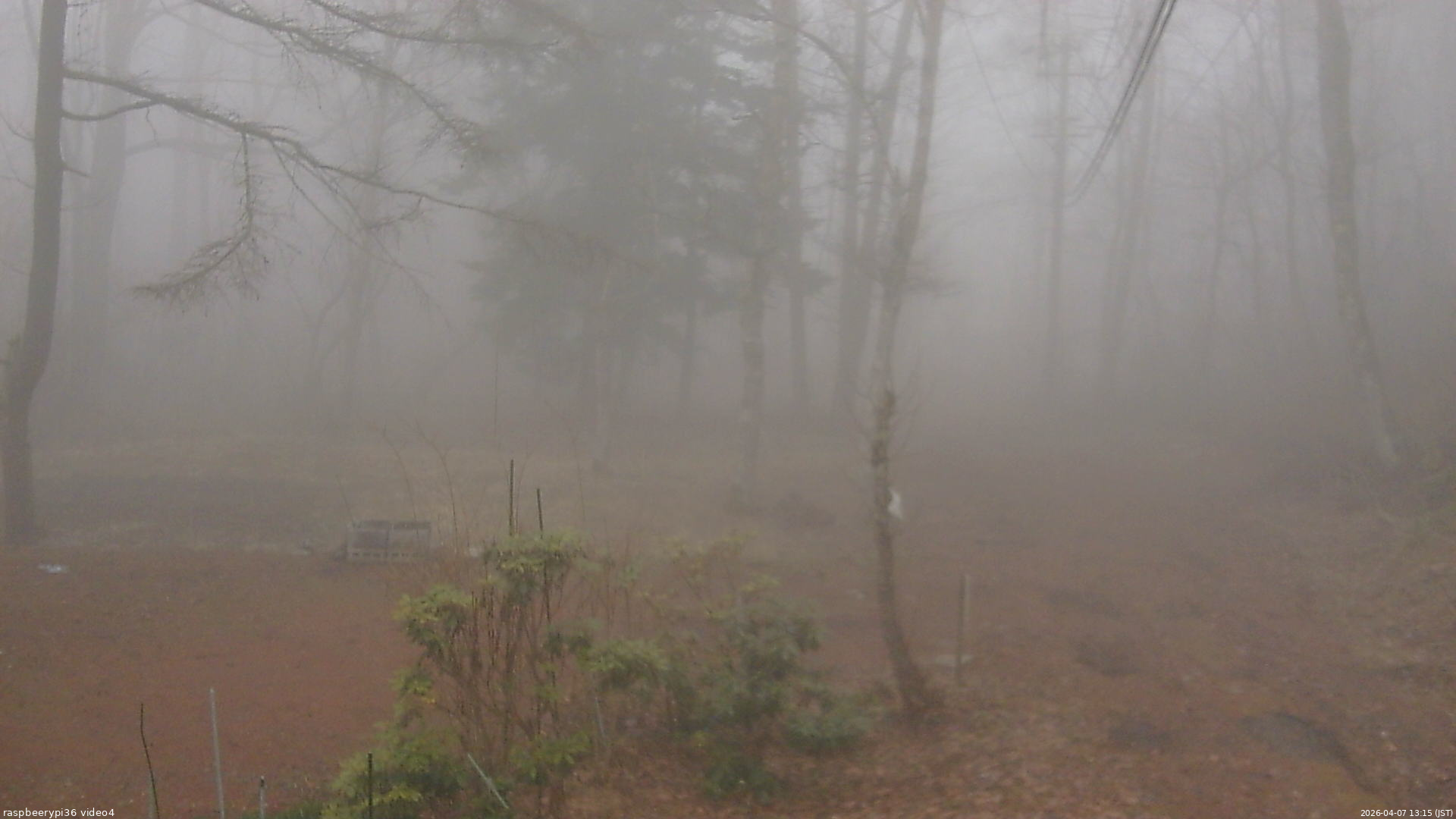 長野県菅平高原 ゆたか山荘 坂上 2026/04/07 13:15