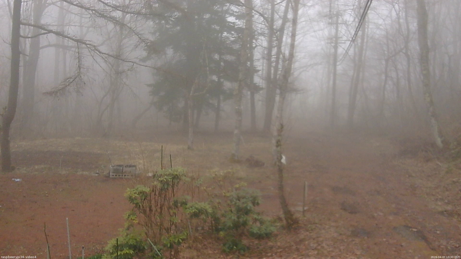 長野県菅平高原 ゆたか山荘 坂上 2026/04/07 13:30