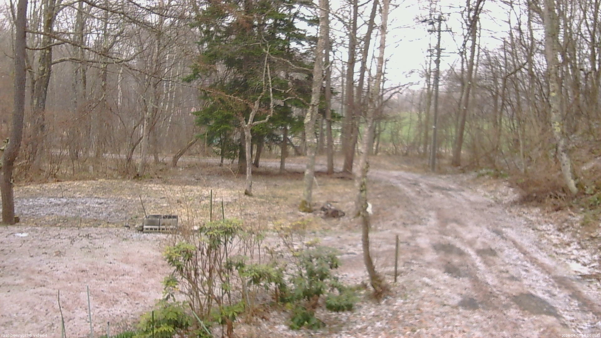長野県菅平高原 ゆたか山荘 坂上 2026/04/07 14:00
