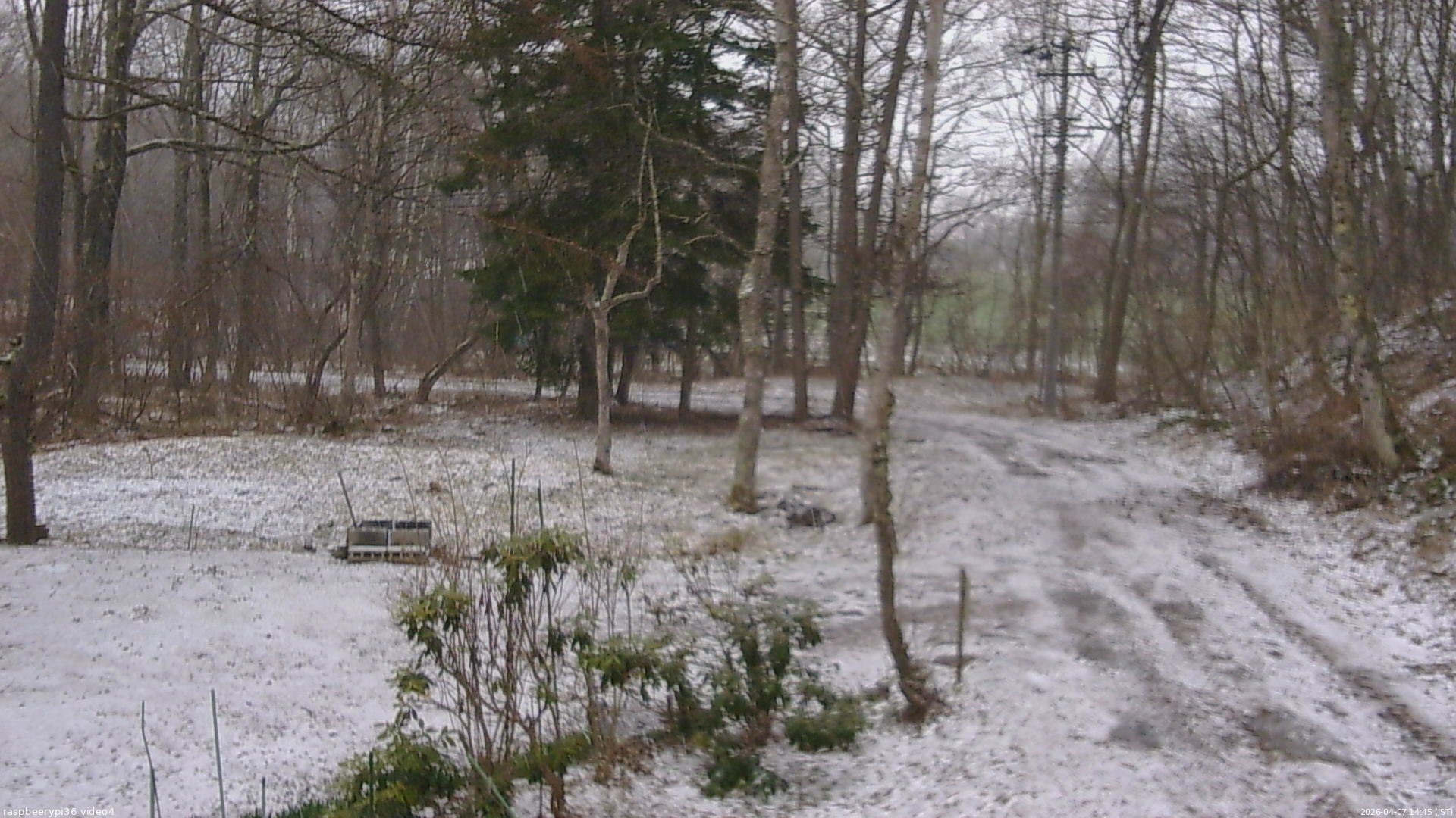 長野県菅平高原 ゆたか山荘 坂上 2026/04/07 14:45