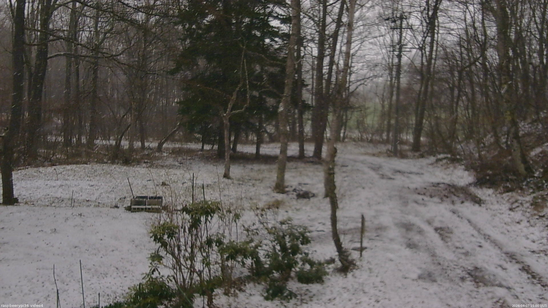 長野県菅平高原 ゆたか山荘 坂上 2026/04/07 15:00