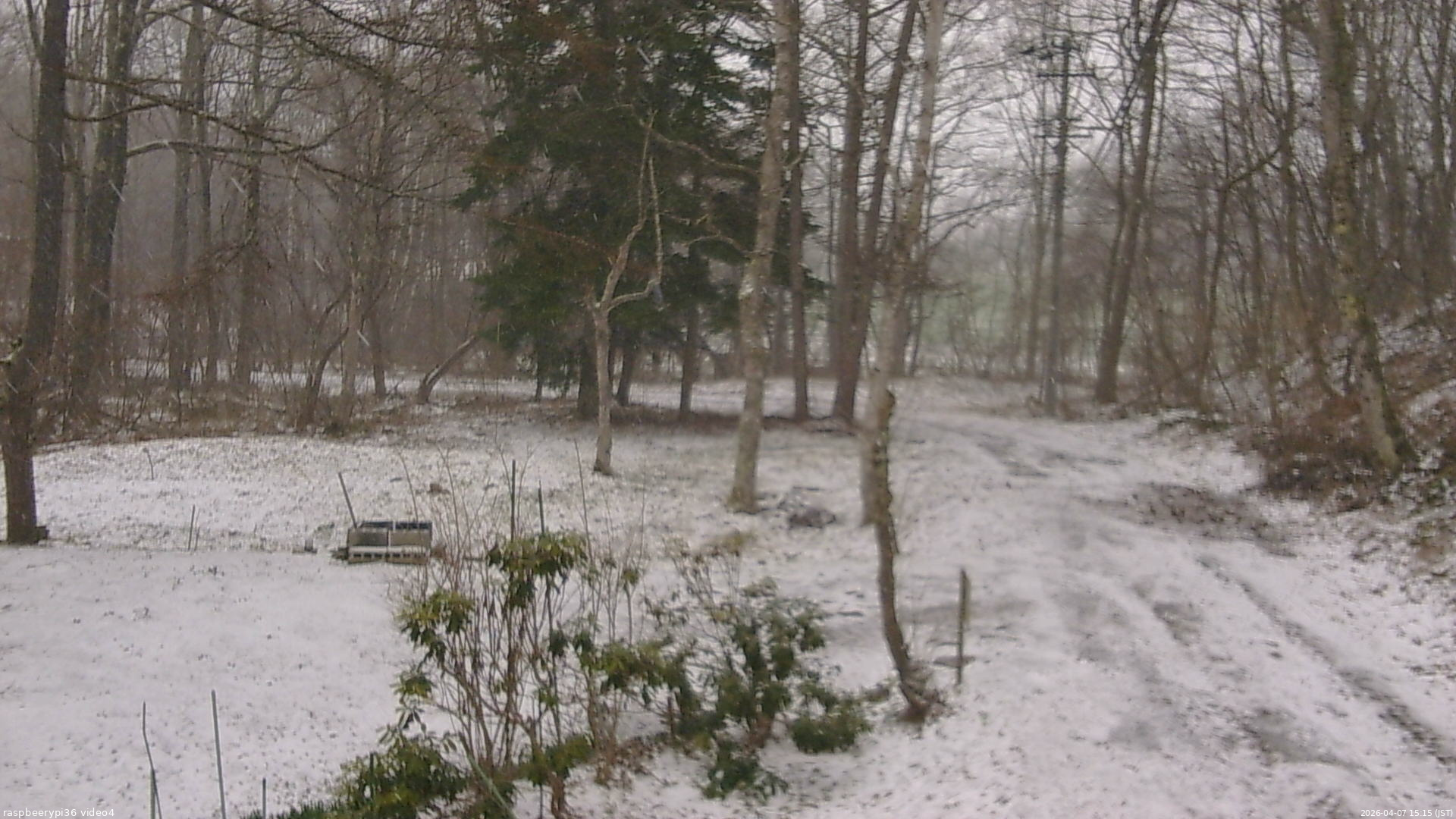 長野県菅平高原 ゆたか山荘 坂上 2026/04/07 15:15