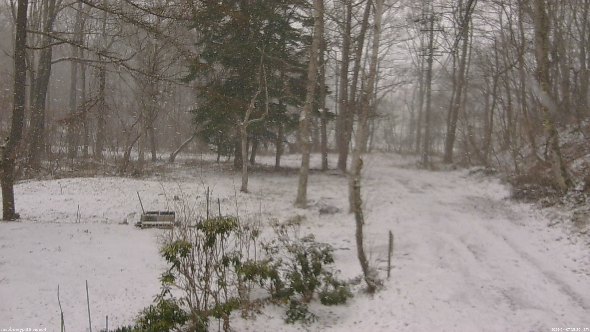 長野県菅平高原 ゆたか山荘 坂上 2026/04/07 15:30