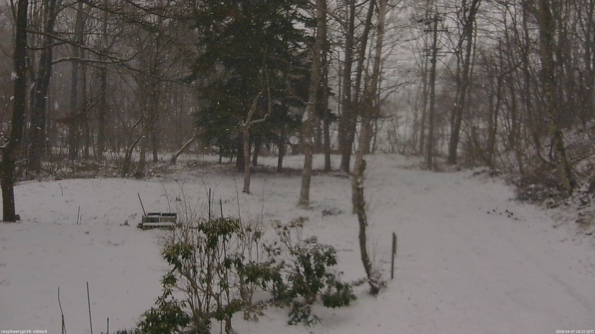 長野県菅平高原 ゆたか山荘 坂上 2026/04/07 16:15