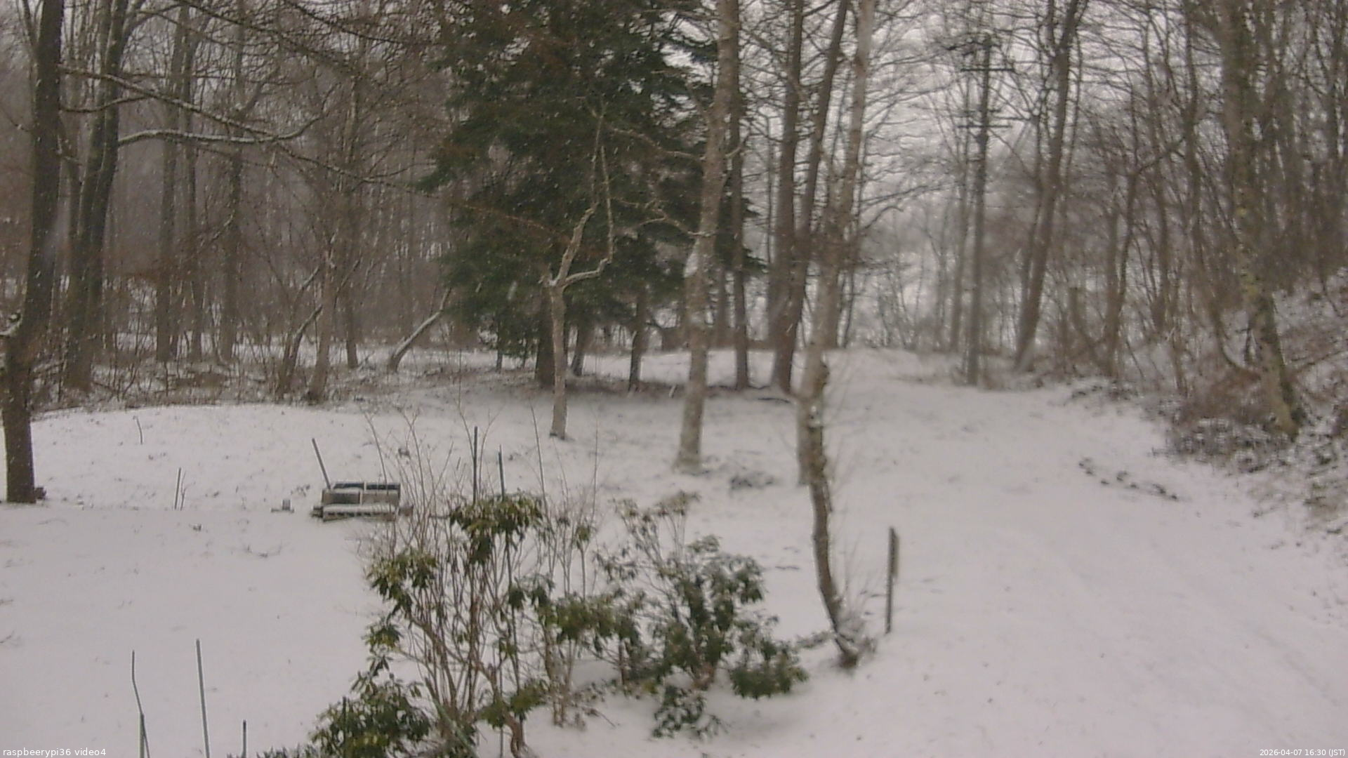 長野県菅平高原 ゆたか山荘 坂上 2026/04/07 16:30
