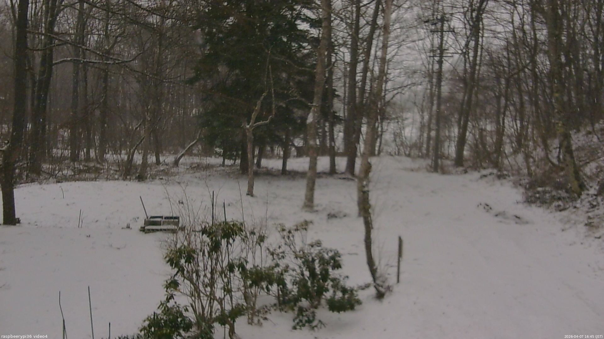 長野県菅平高原 ゆたか山荘 坂上 2026/04/07 16:45