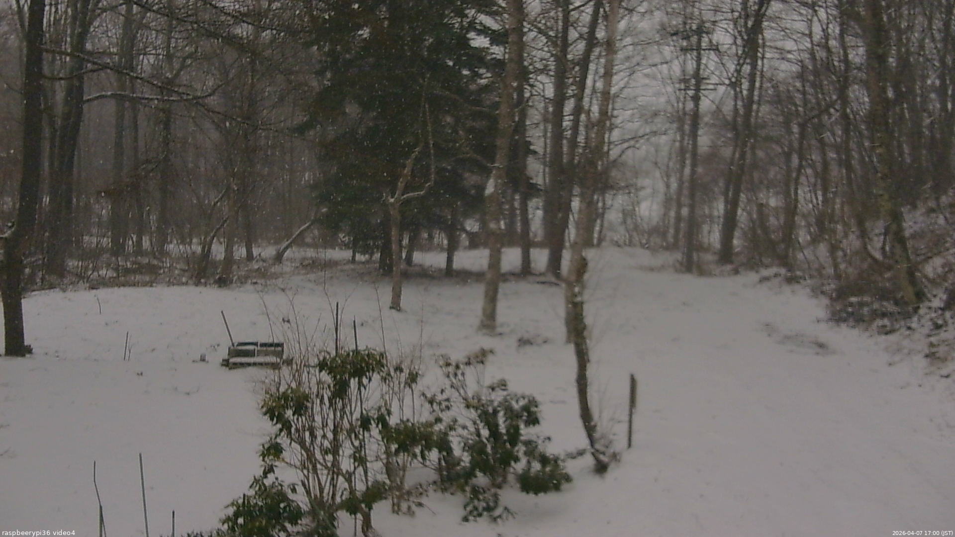 長野県菅平高原 ゆたか山荘 坂上 2026/04/07 17:00