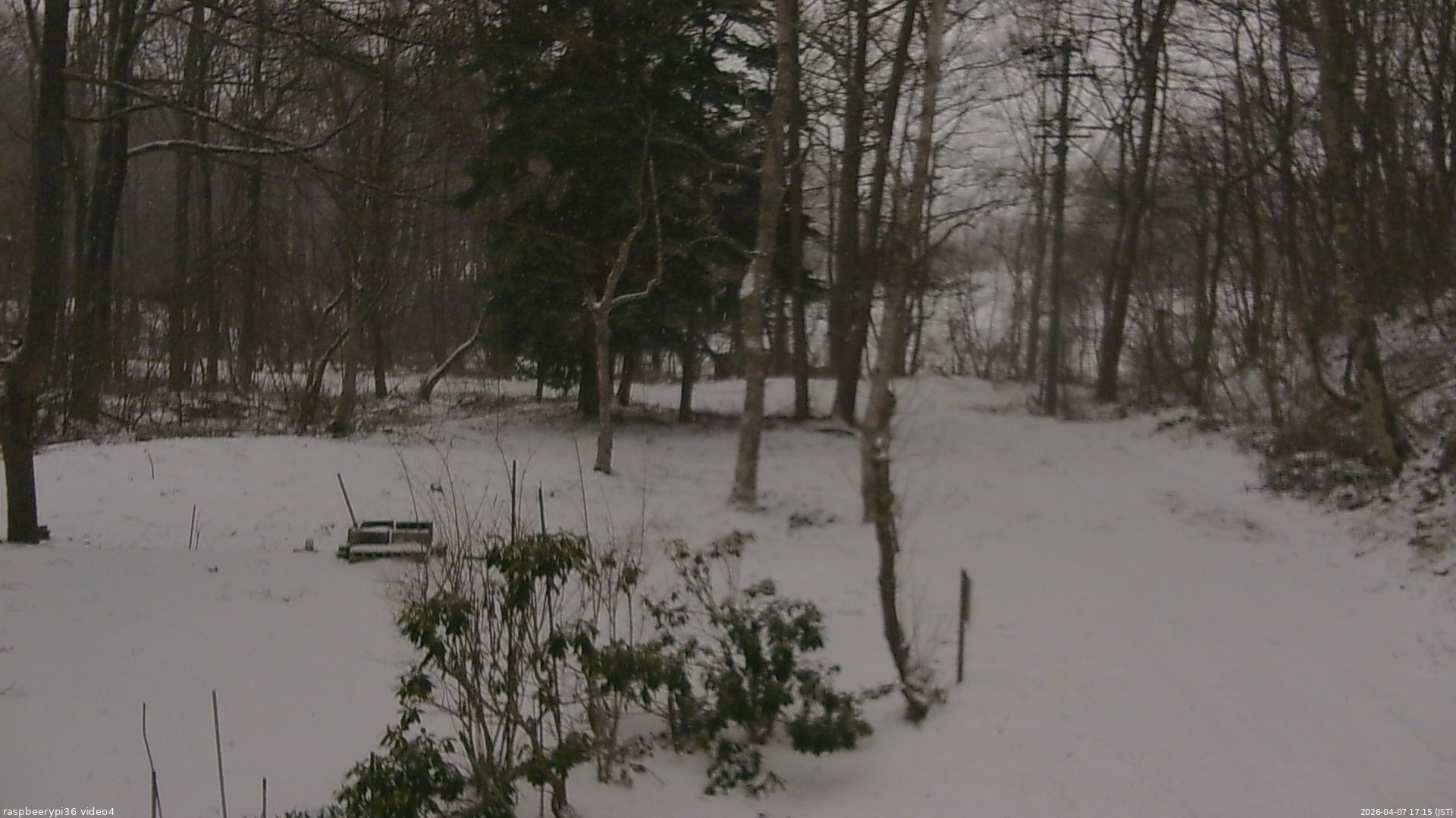長野県菅平高原 ゆたか山荘 坂上 2026/04/07 17:15