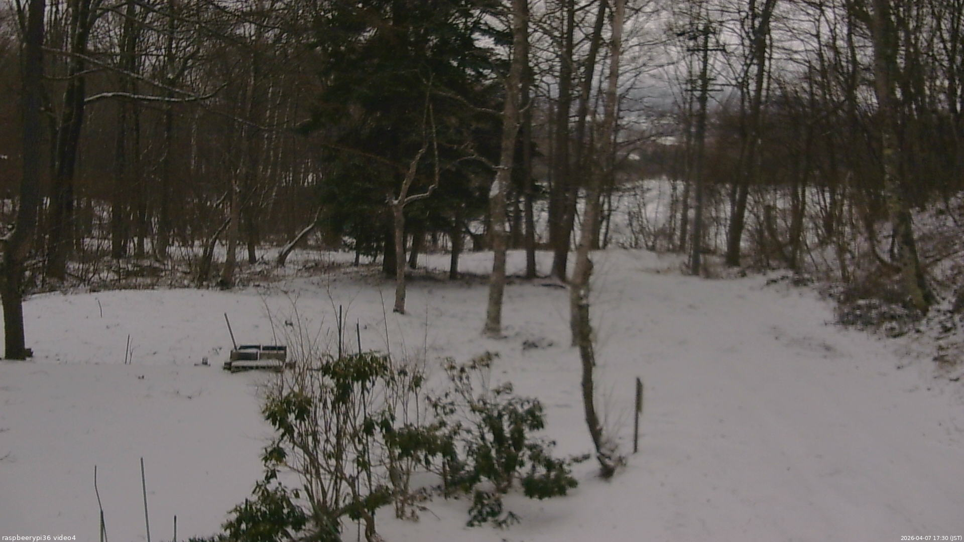 長野県菅平高原 ゆたか山荘 坂上 2026/04/07 17:30