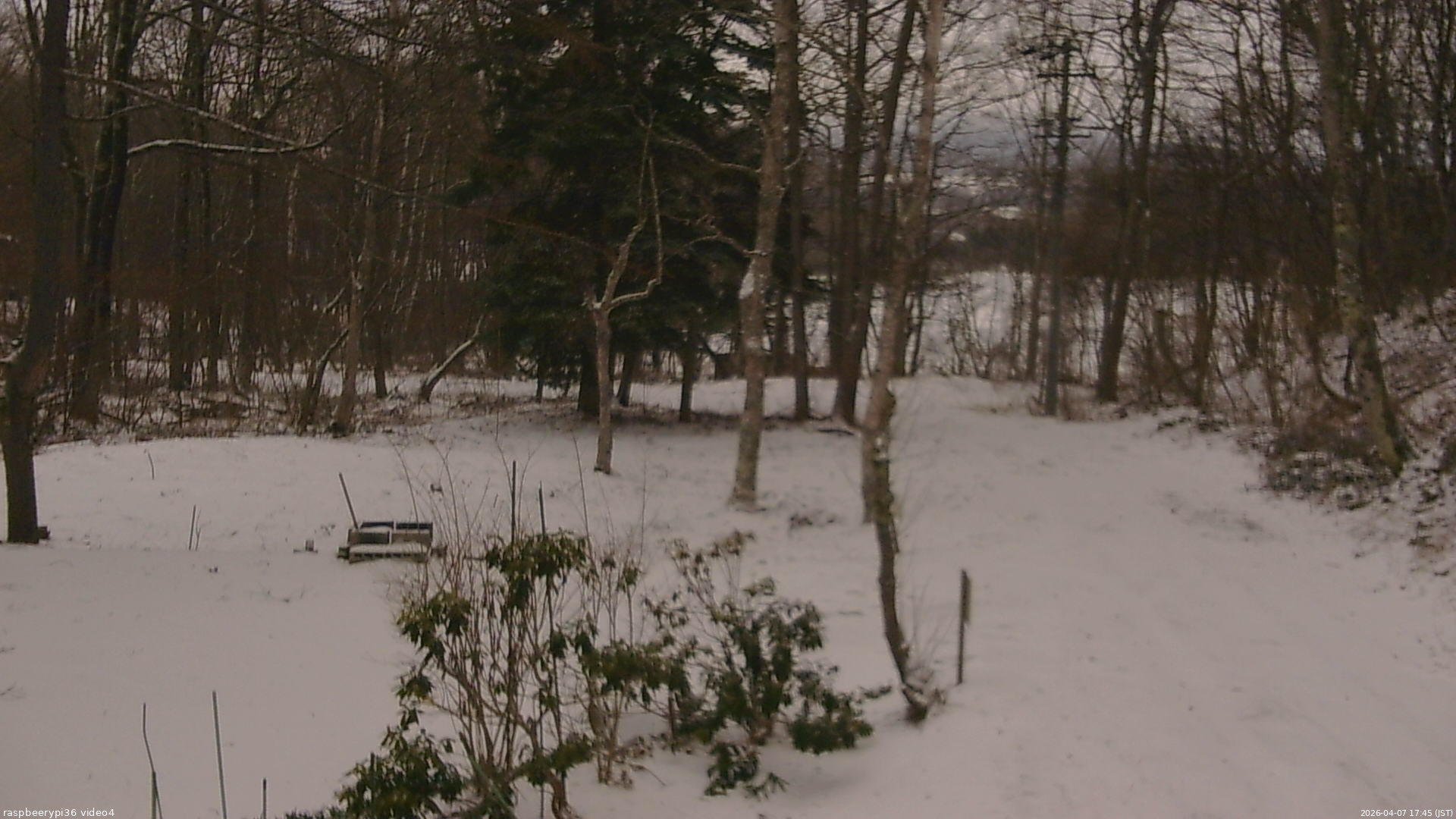 長野県菅平高原 ゆたか山荘 坂上 2026/04/07 17:45