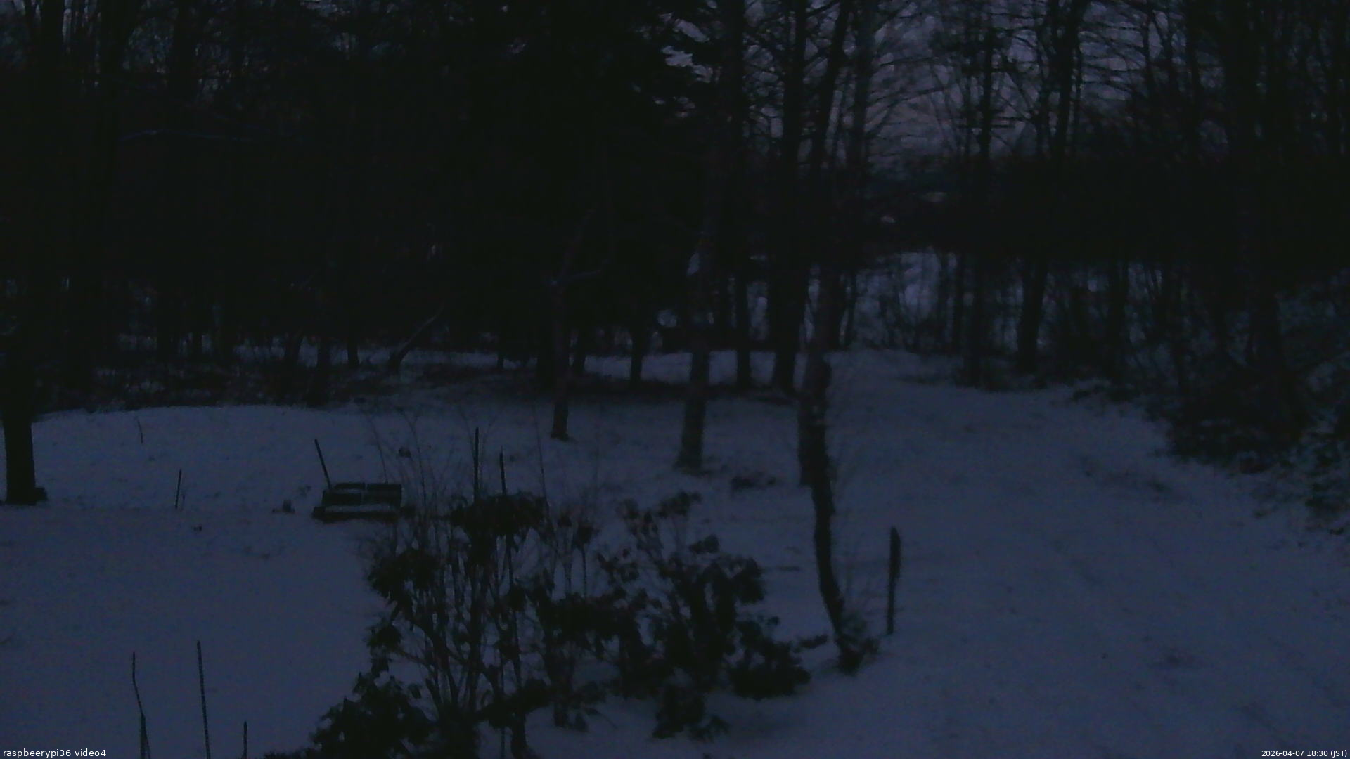 長野県菅平高原 ゆたか山荘 坂上 2026/04/07 18:30