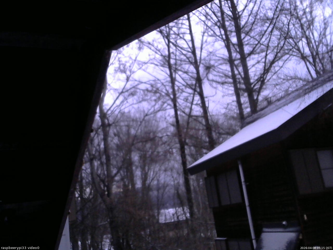 長野県菅平高原 ゆたか山荘 北側 2026/04/08 05:15