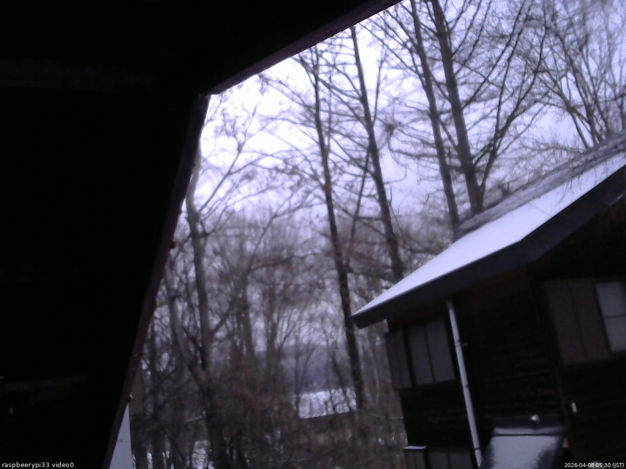 長野県菅平高原 ゆたか山荘 北側 2026/04/08 05:30