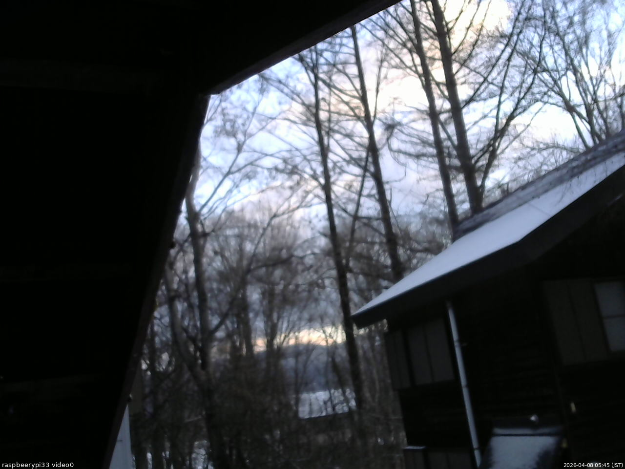 長野県菅平高原 ゆたか山荘 北側 2026/04/08 05:45