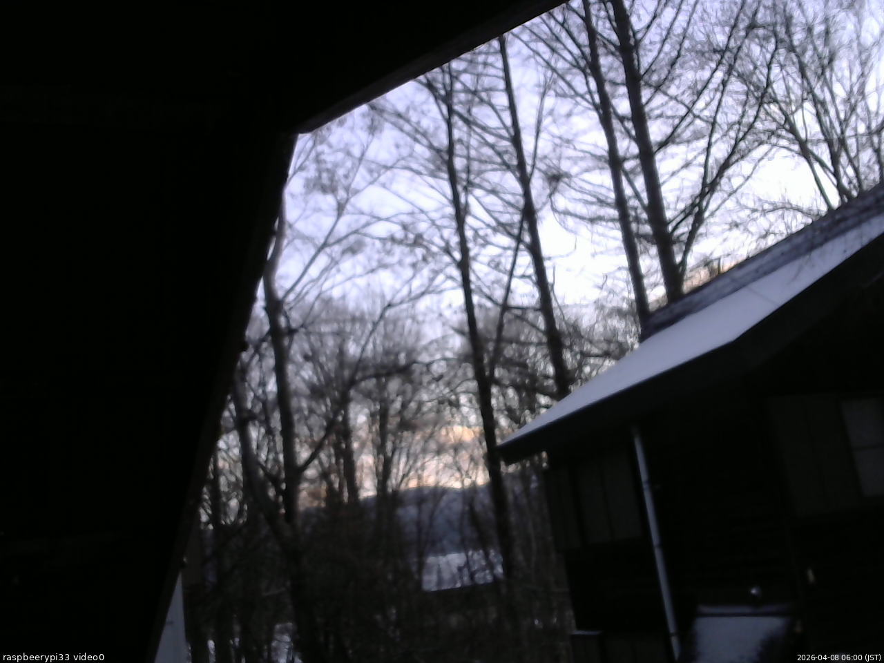 長野県菅平高原 ゆたか山荘 北側 2026/04/08 06:00