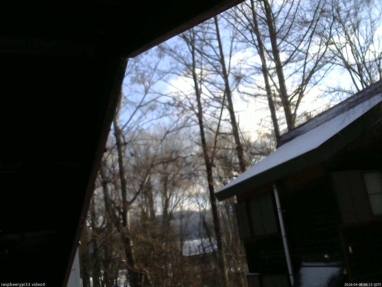 長野県菅平高原 ゆたか山荘 北側 2026/04/08 06:15