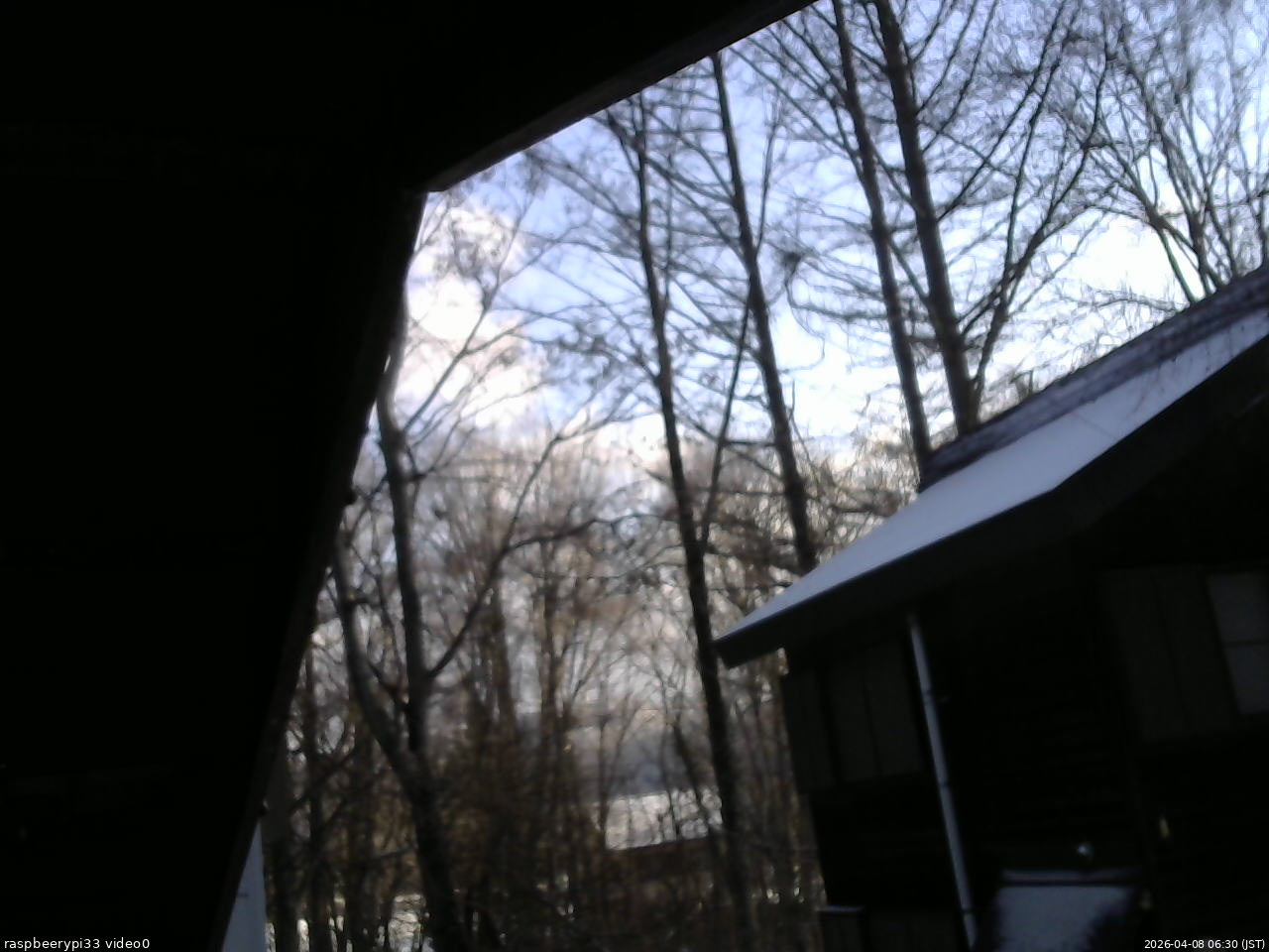 長野県菅平高原 ゆたか山荘 北側 2026/04/08 06:30