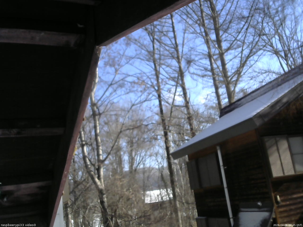 長野県菅平高原 ゆたか山荘 北側 2026/04/08 07:45