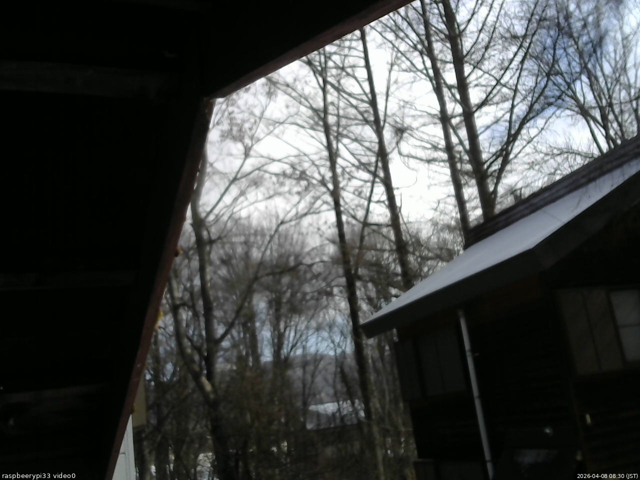 長野県菅平高原 ゆたか山荘 北側 2026/04/08 08:30