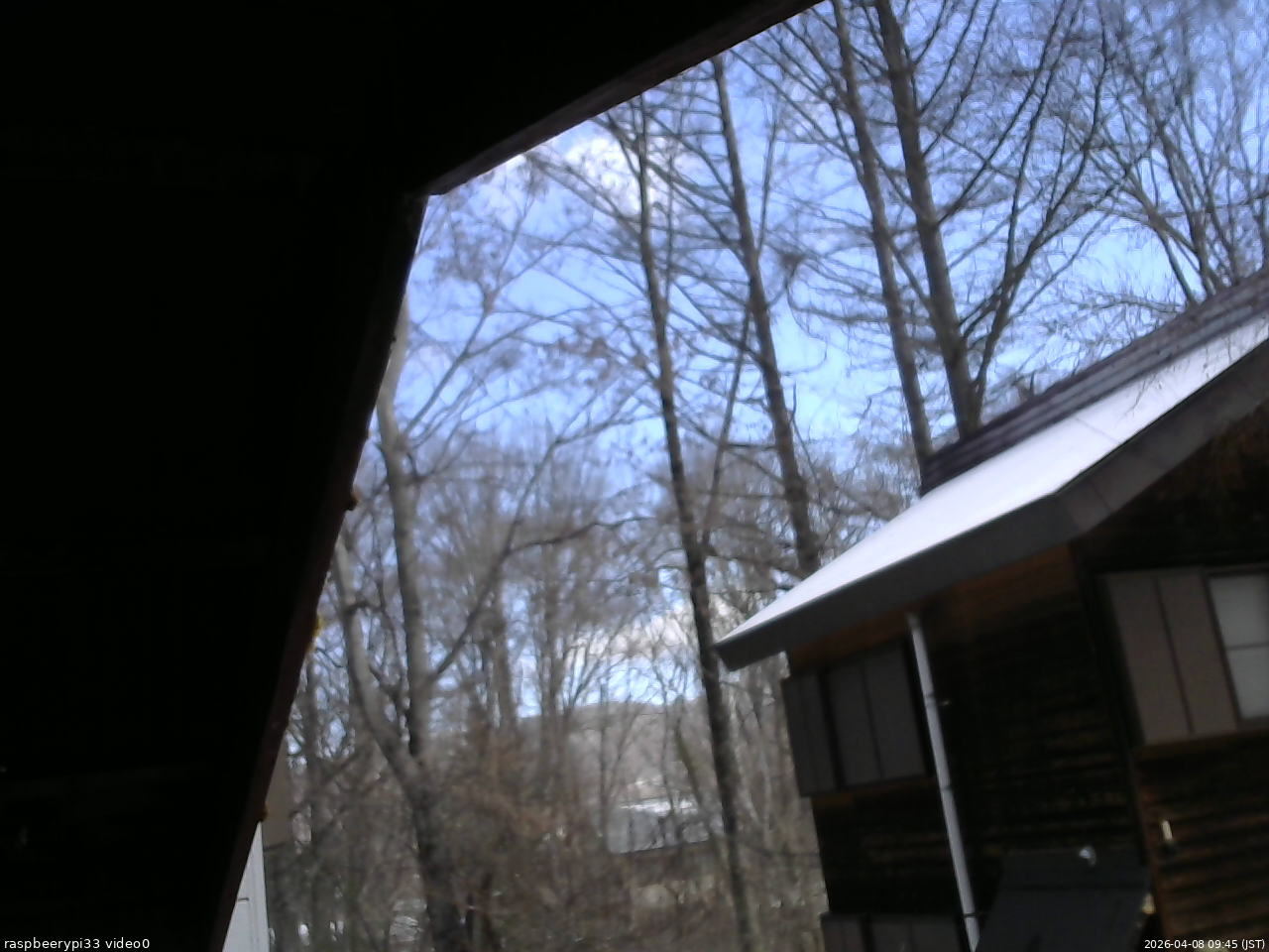 長野県菅平高原 ゆたか山荘 北側 2026/04/08 09:45