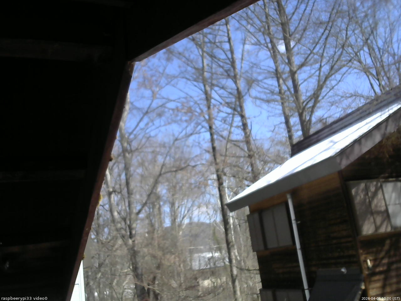 長野県菅平高原 ゆたか山荘 北側 2026/04/08 10:00