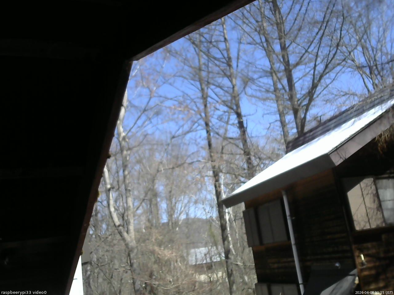 長野県菅平高原 ゆたか山荘 北側 2026/04/08 11:15