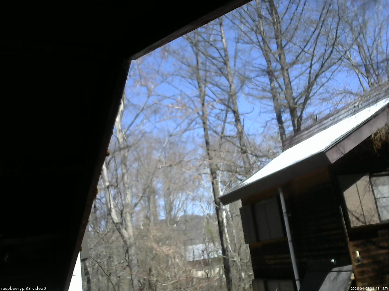 長野県菅平高原 ゆたか山荘 北側 2026/04/08 11:45